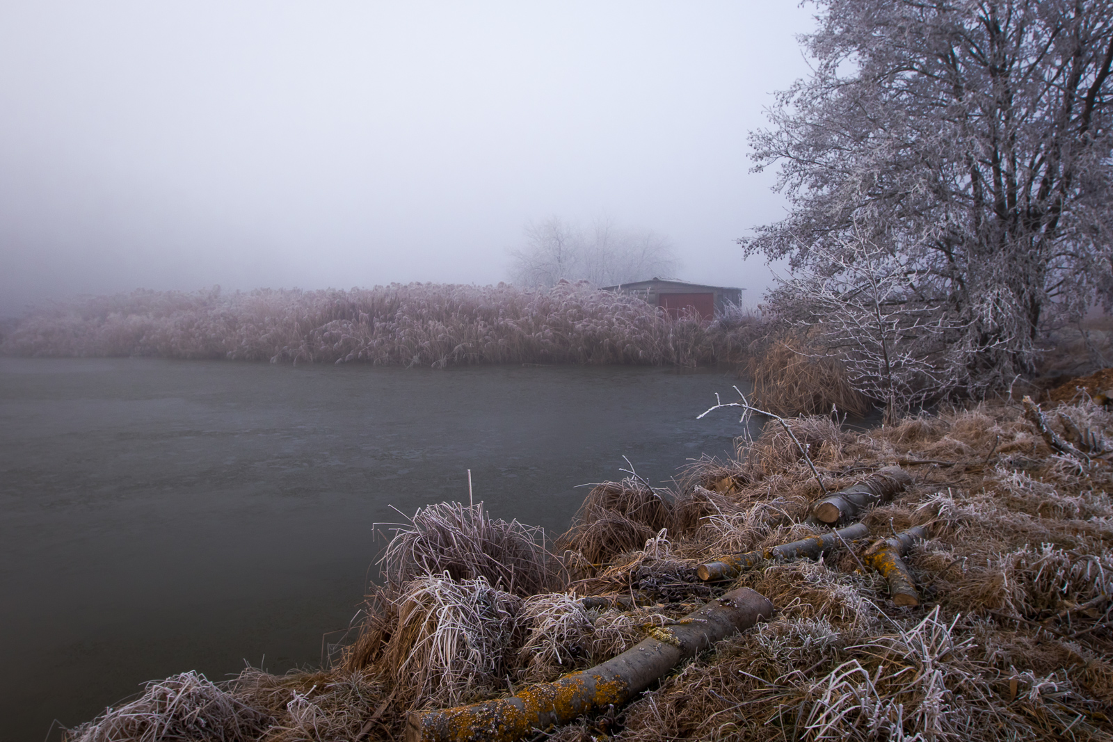 Brume matinale