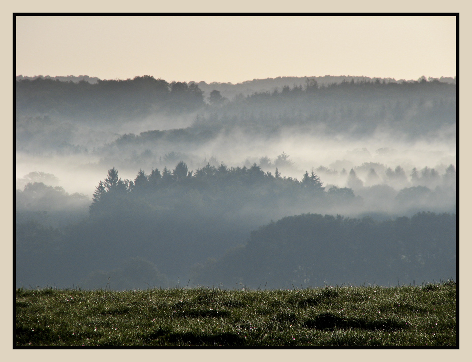 Brume matinale