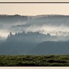 Brume matinale