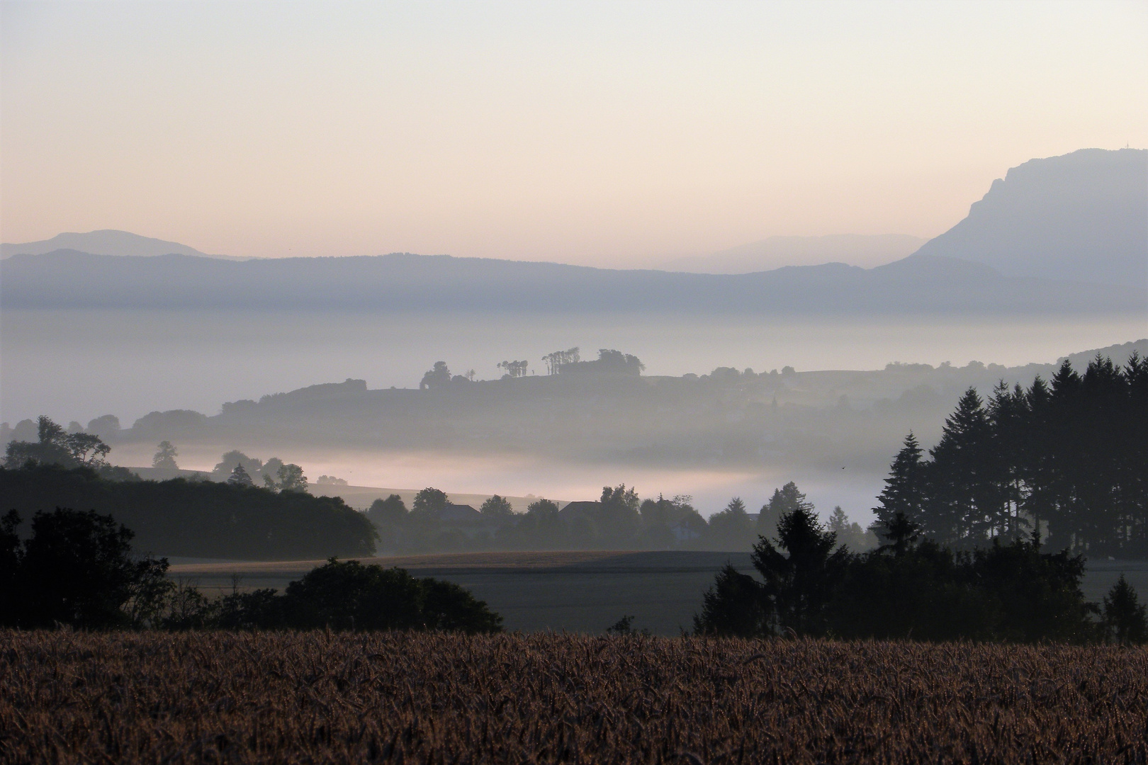 brume matinale