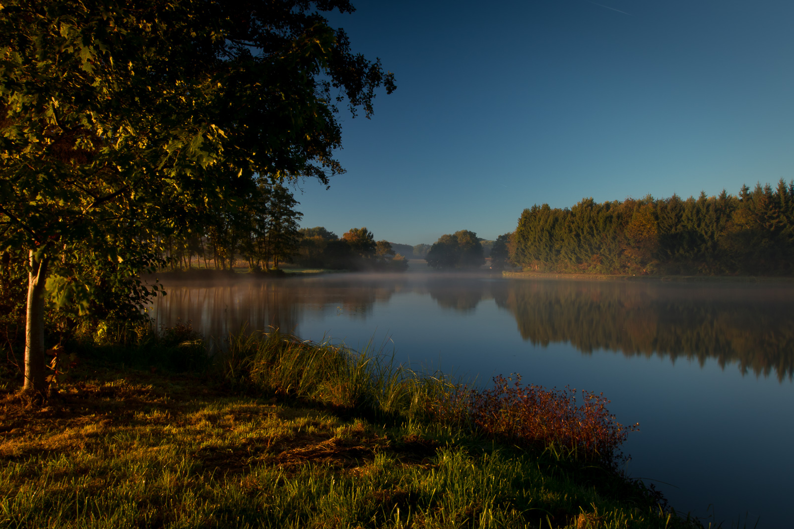 Brume matinale 2