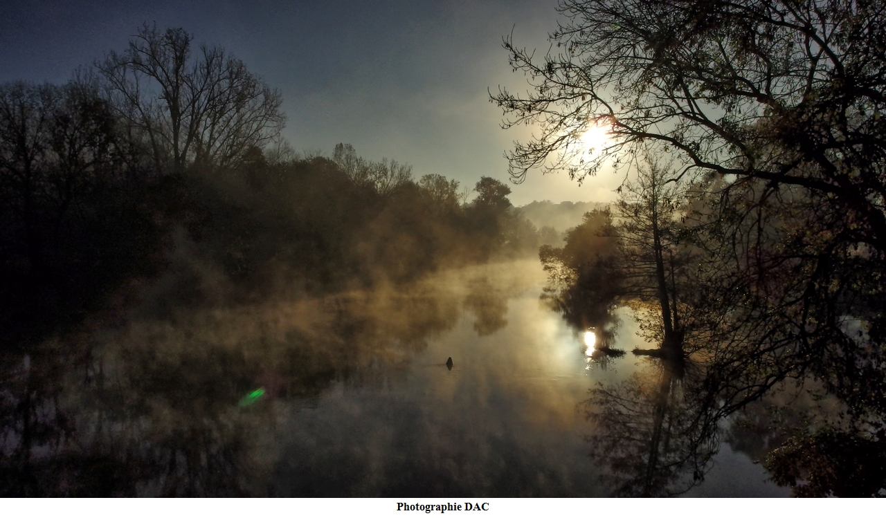 Brume matinale