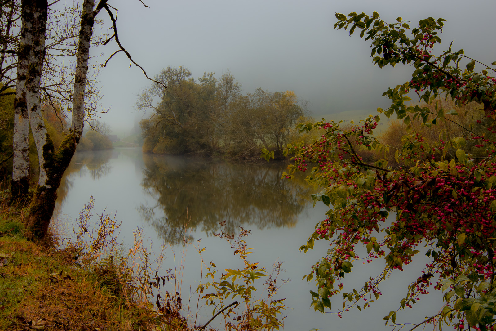 Brume matinale 3