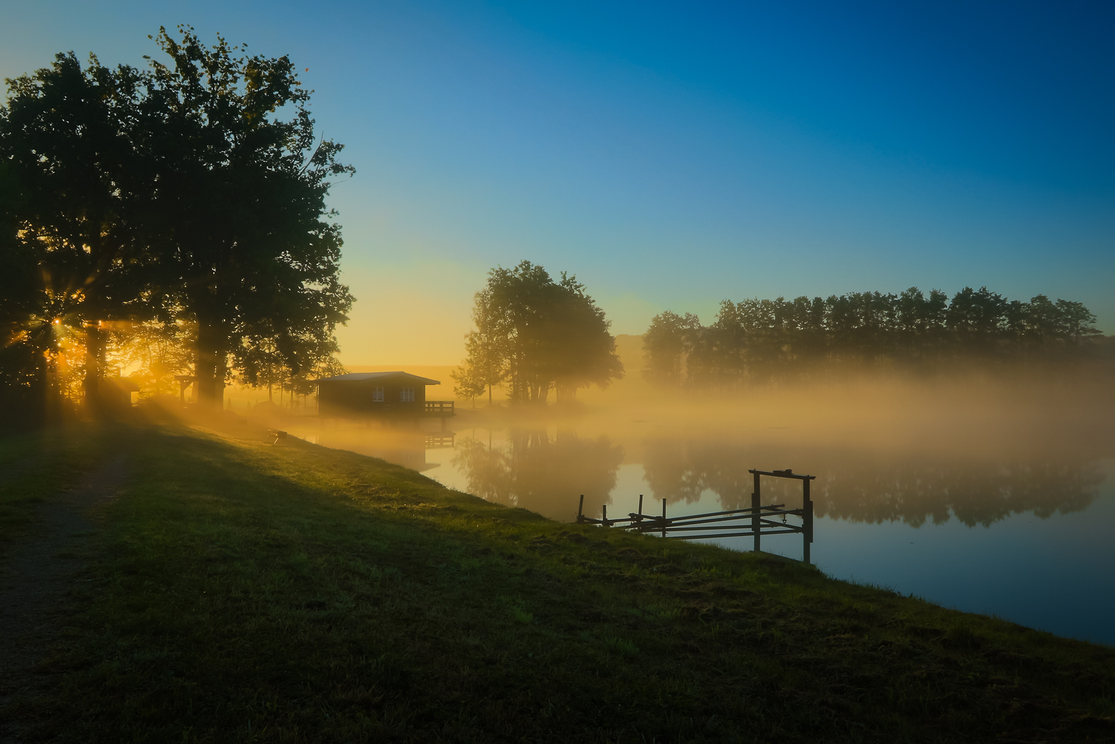 Brume matinale