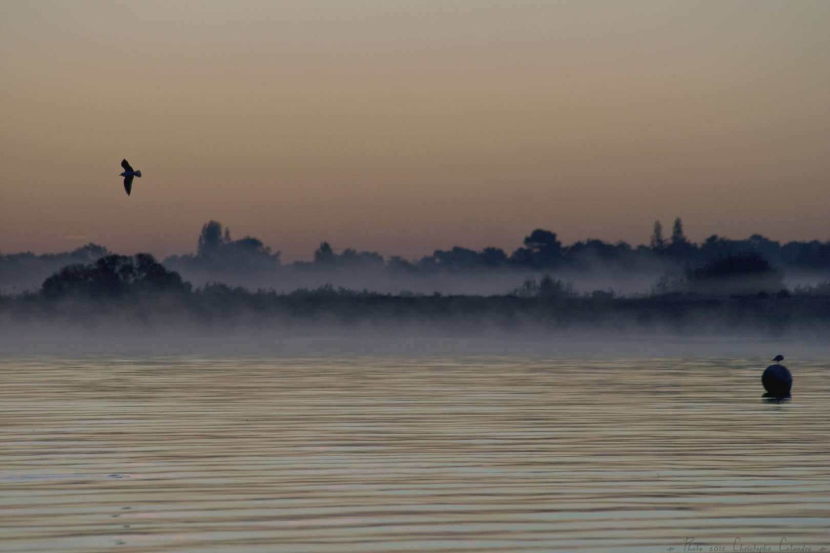 Brume matinale ...