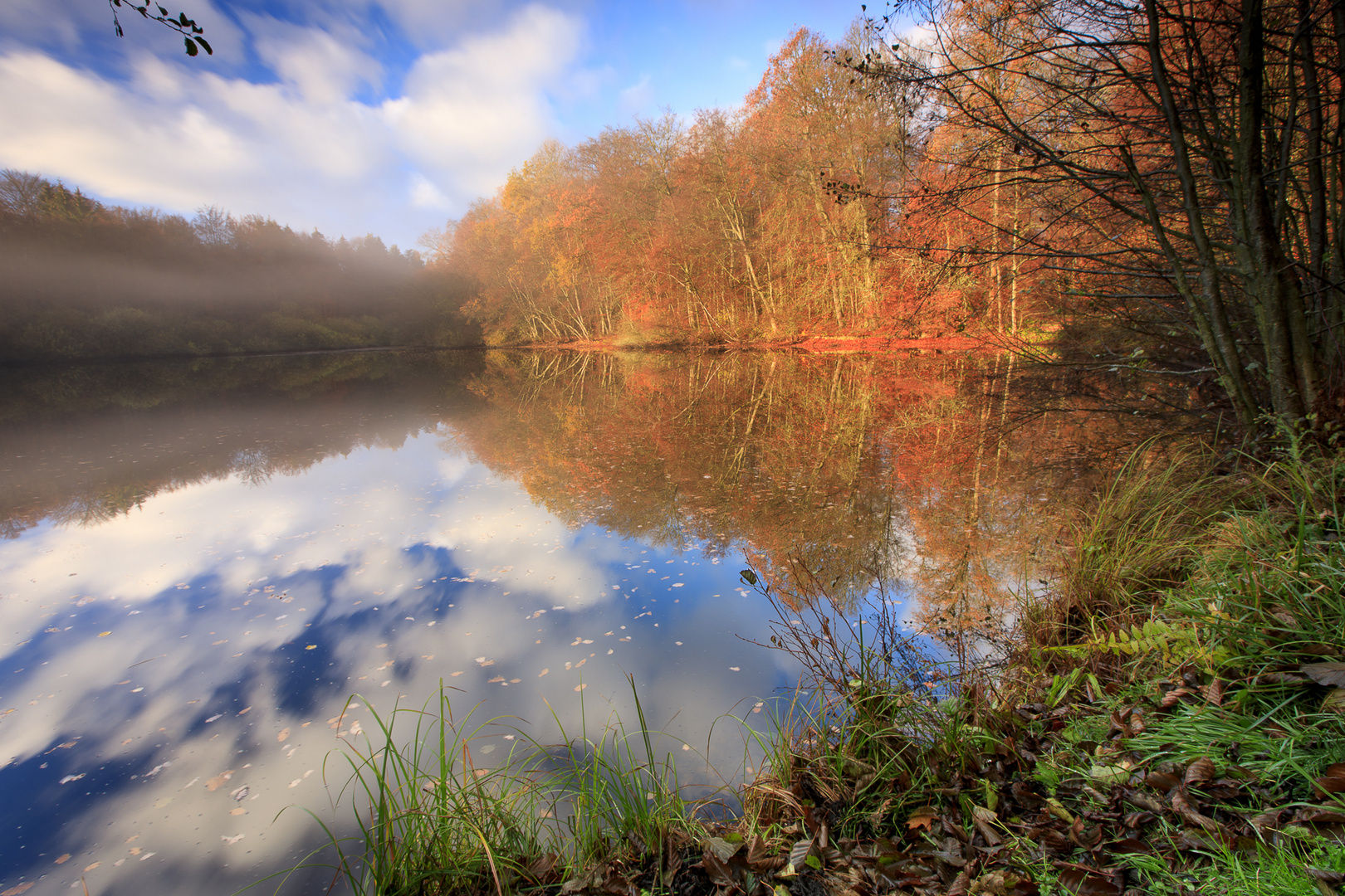 Brume matinale, photo et image | divers, la nature simplement, Étangs ...