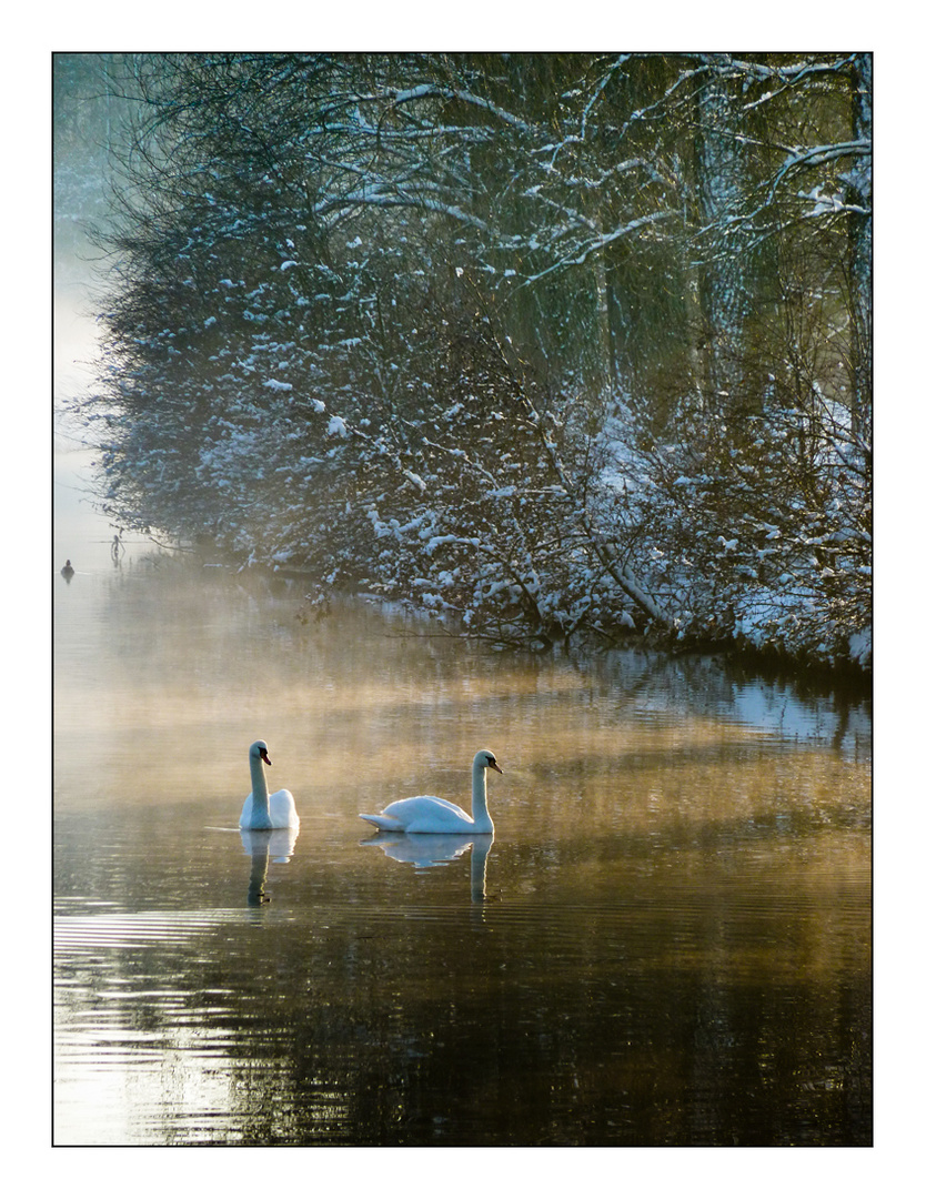 Brume matinale photo et image | paysages, mers et océans, lumière à ...