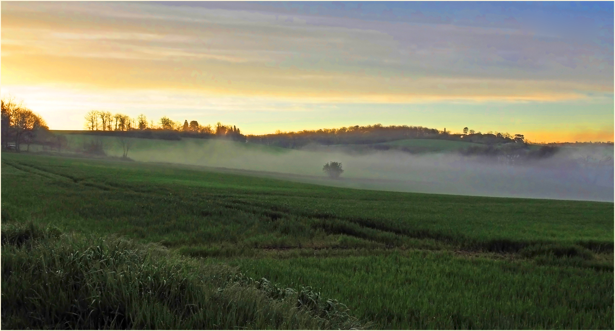 Brume matinale