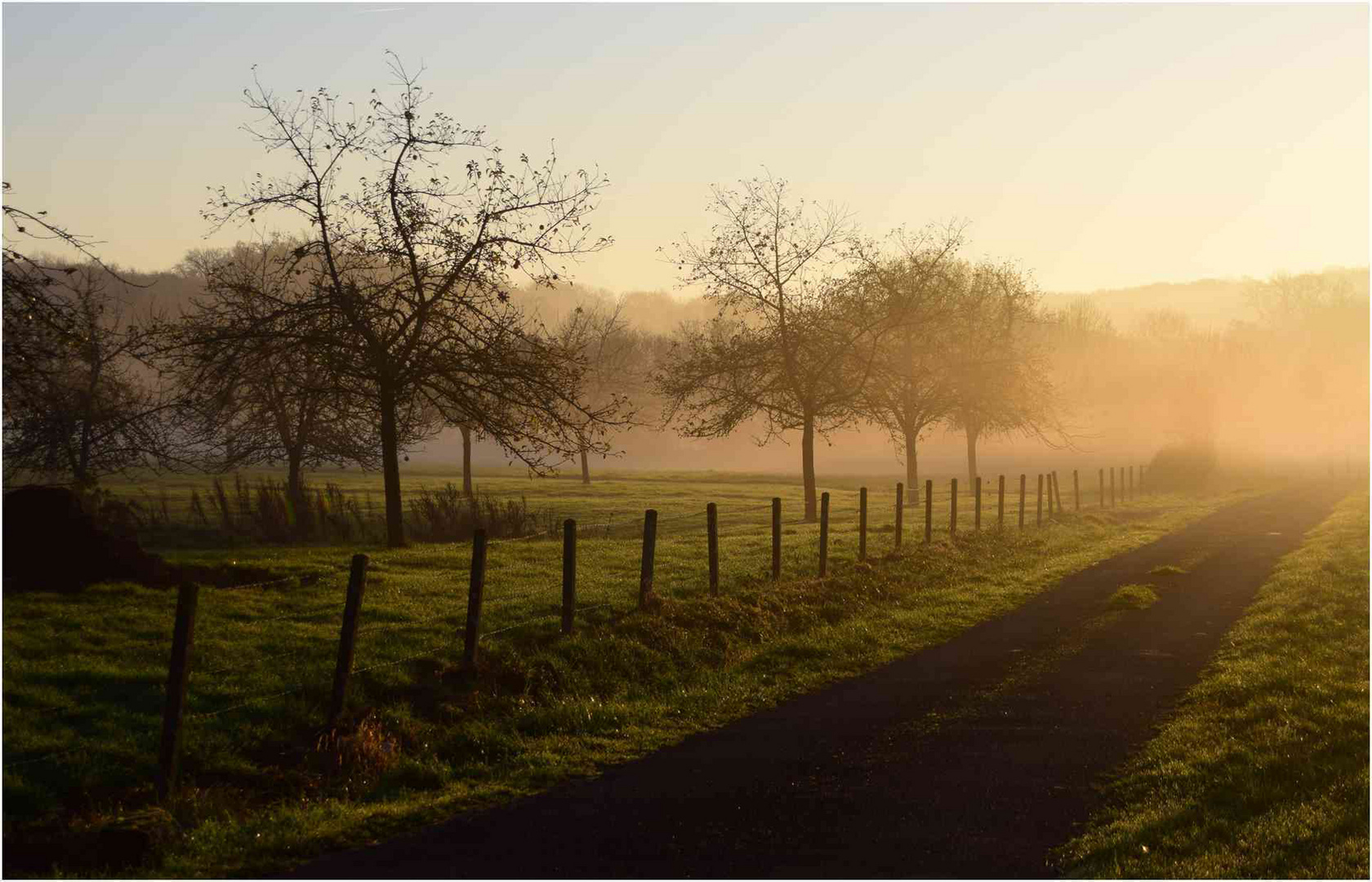 Brume matinale