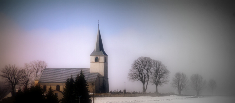 Brume matinale