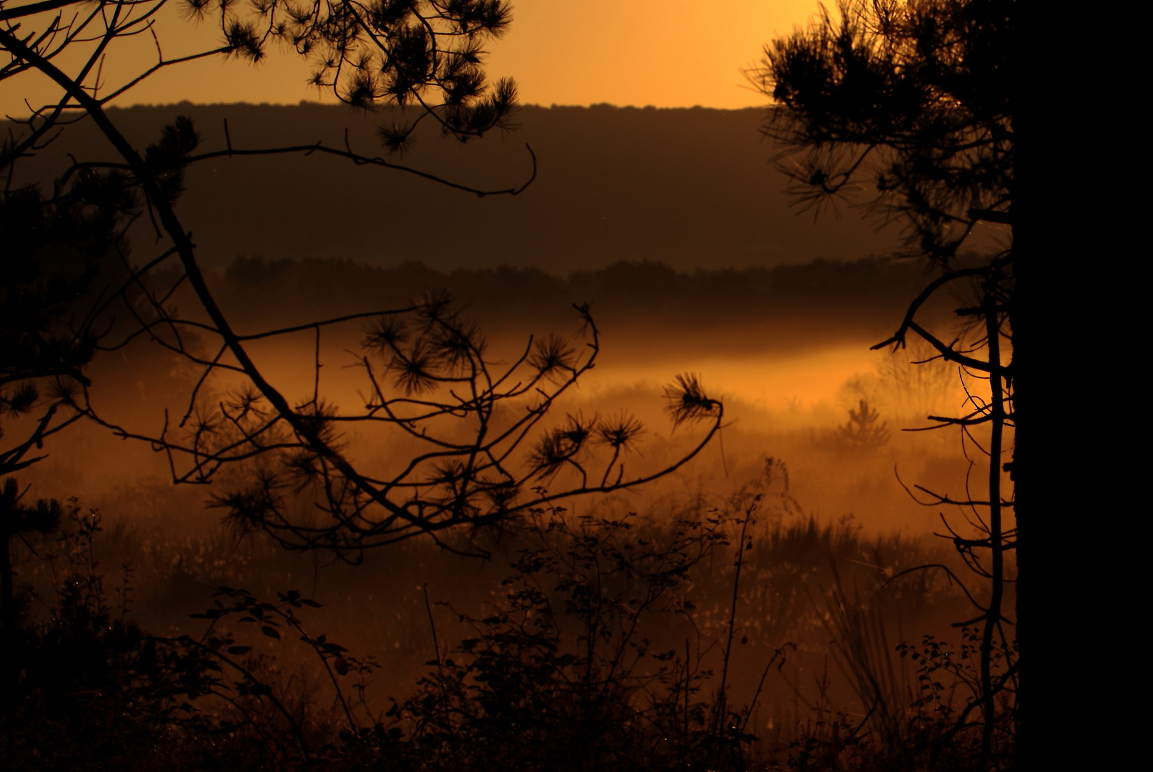 brume matinale