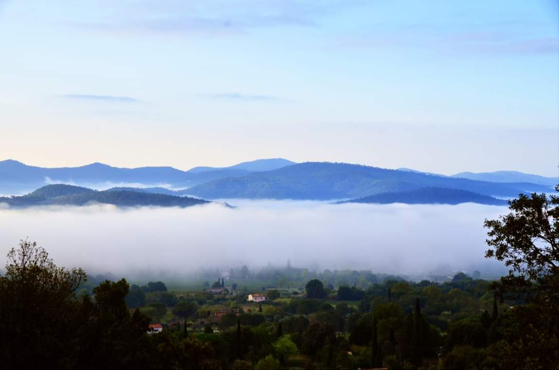 Brume matinale