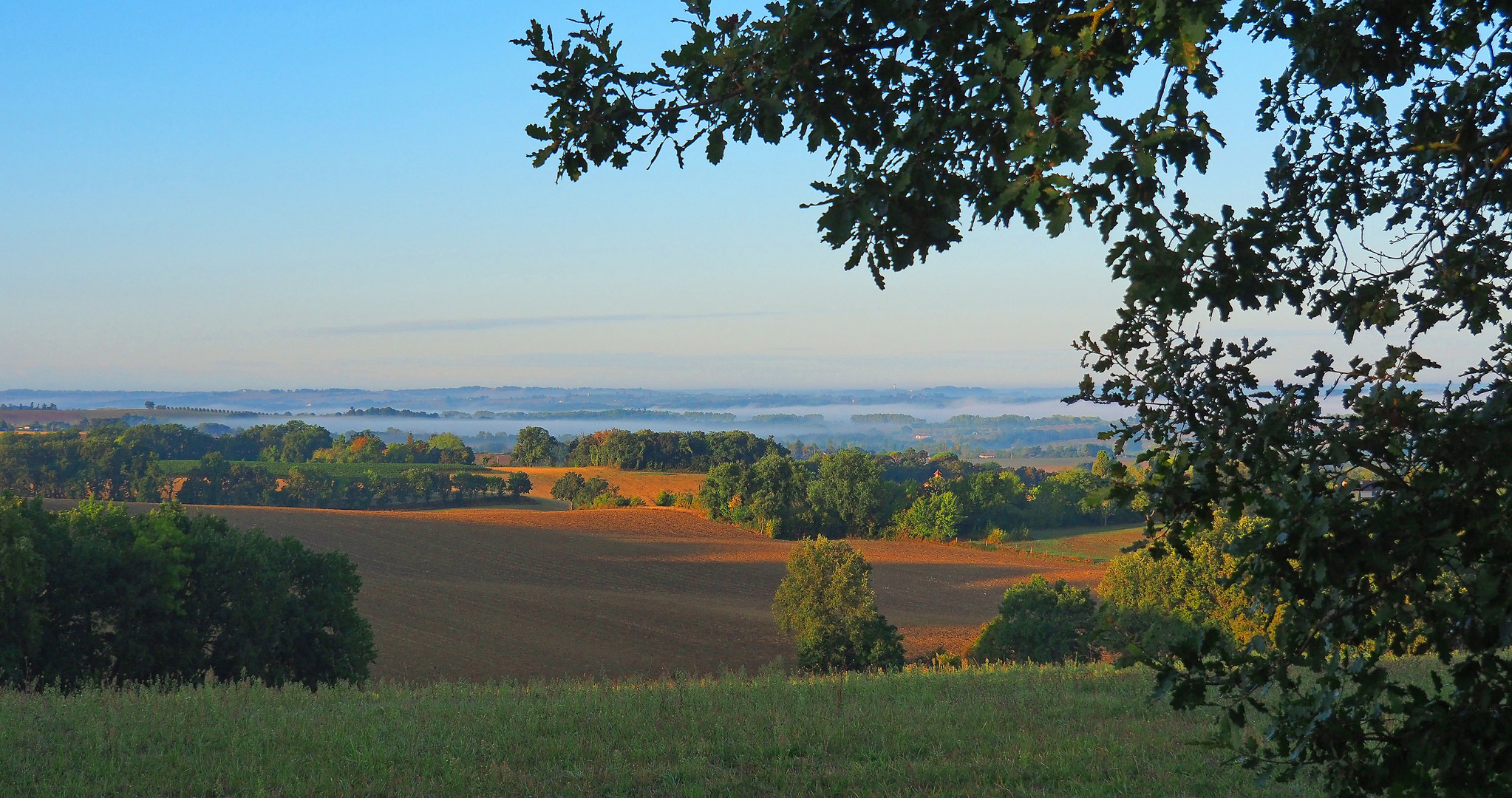 Brume matinale dans le Gers