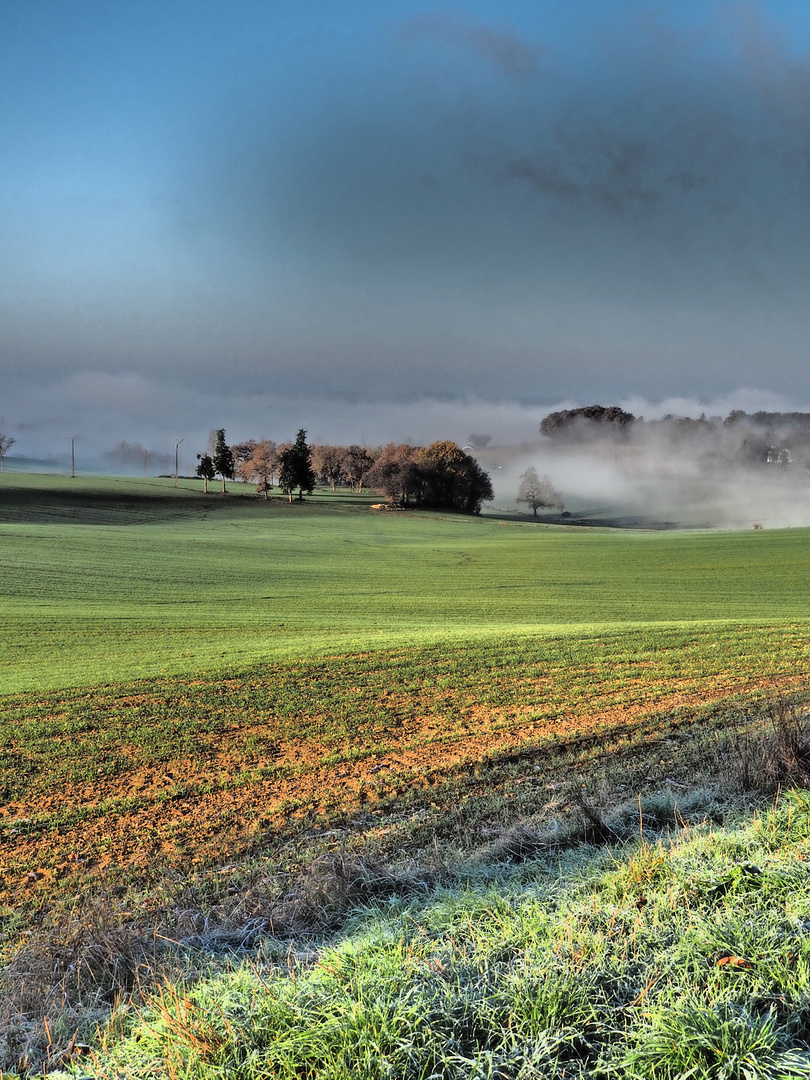 Brume matinale en décembre