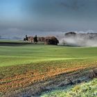 Brume matinale en décembre