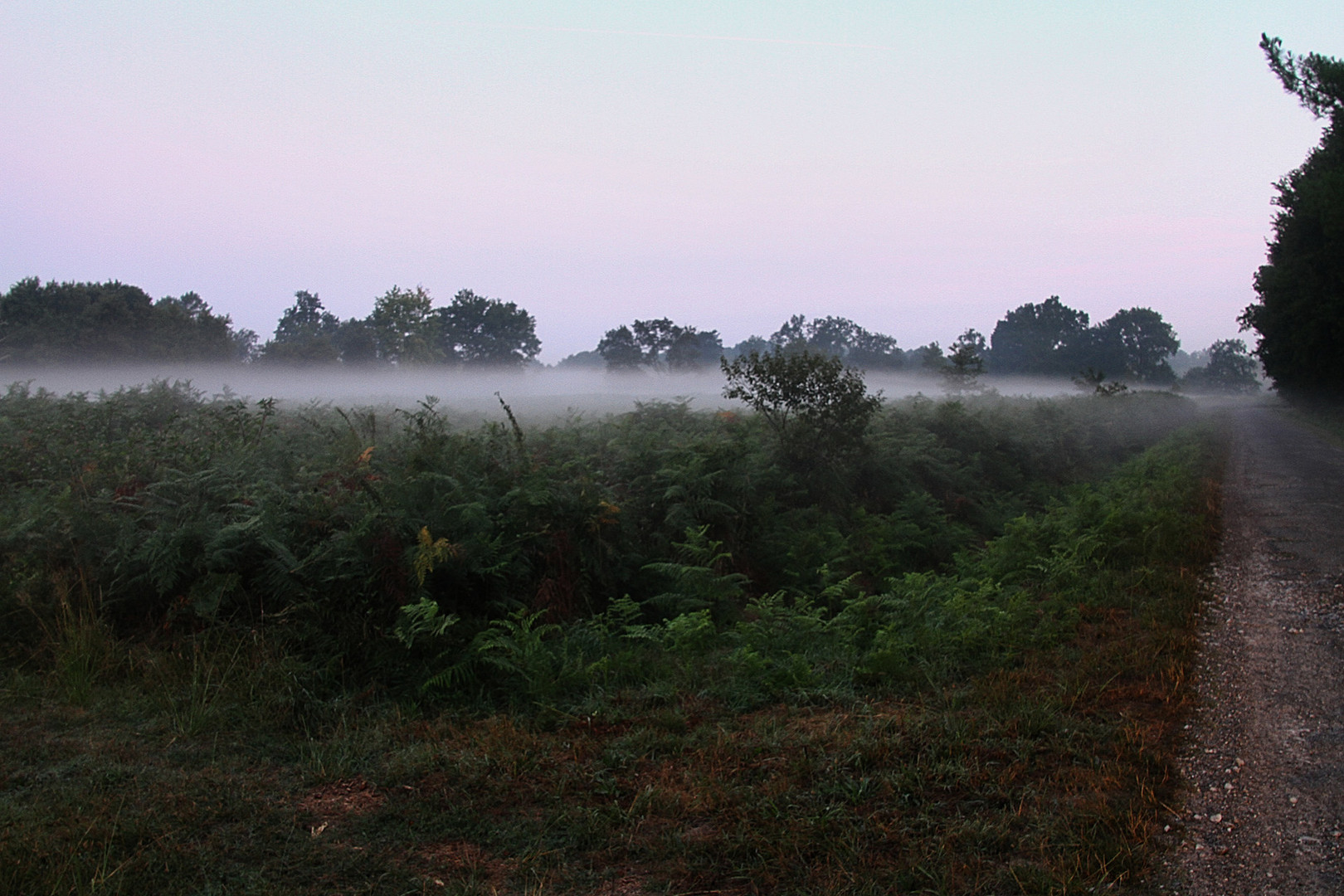 brume matinale !!