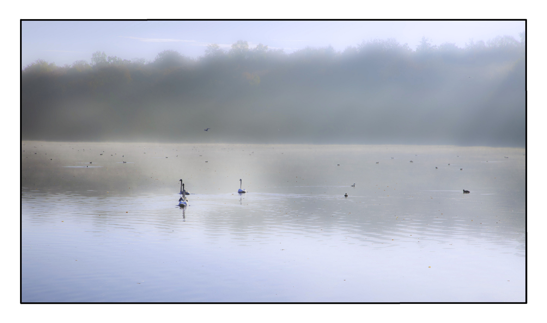 brume matinale