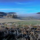 Brume matinale + givre