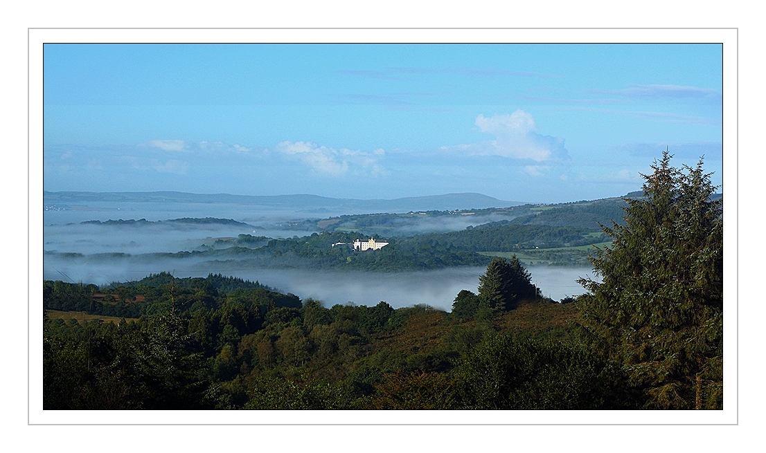 Brume Matinale " Revue par Balbuzard  "