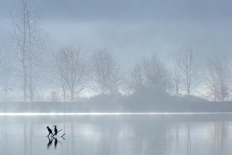 Brume matinale sur La Rance