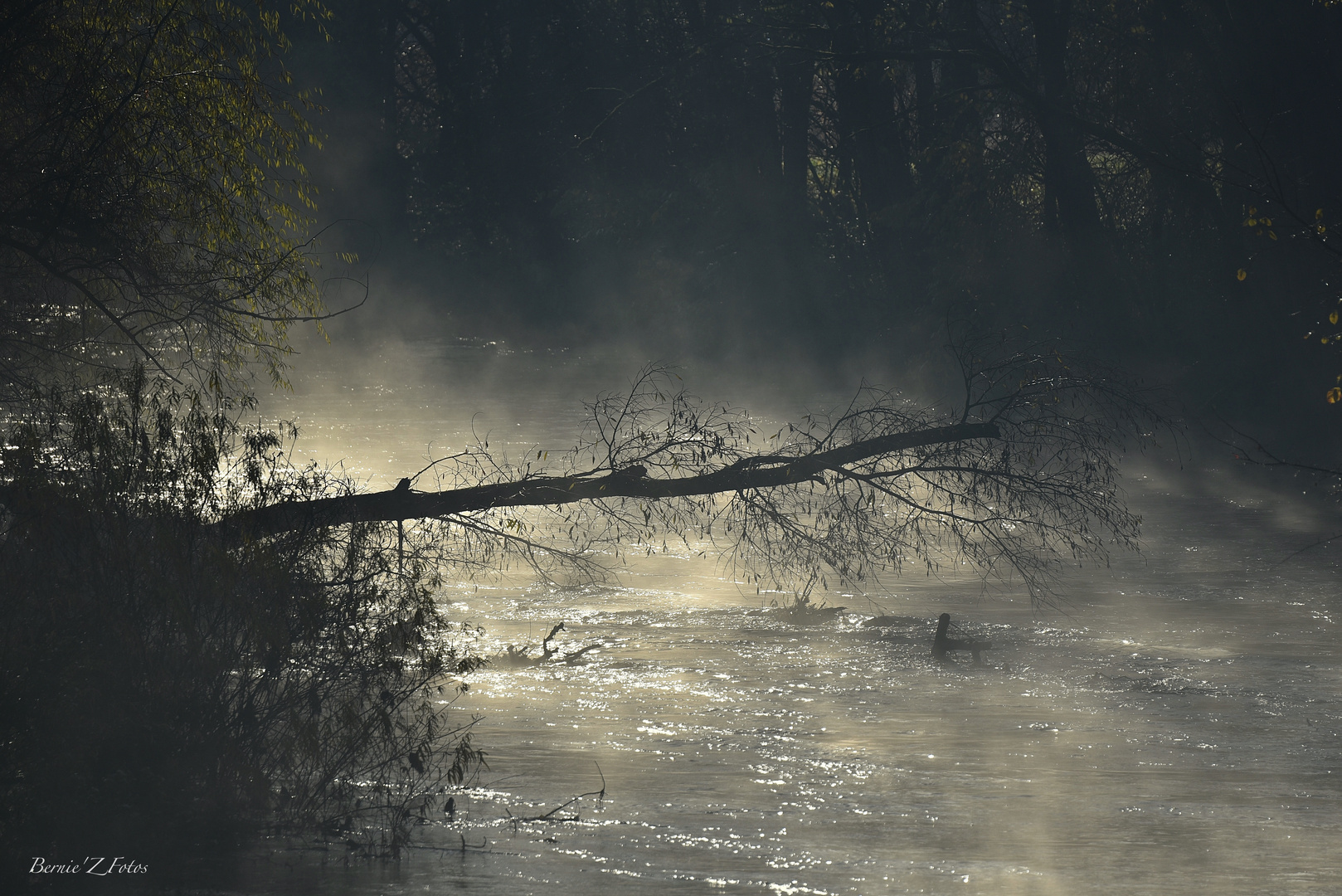 Brume matinale sur l'Ill