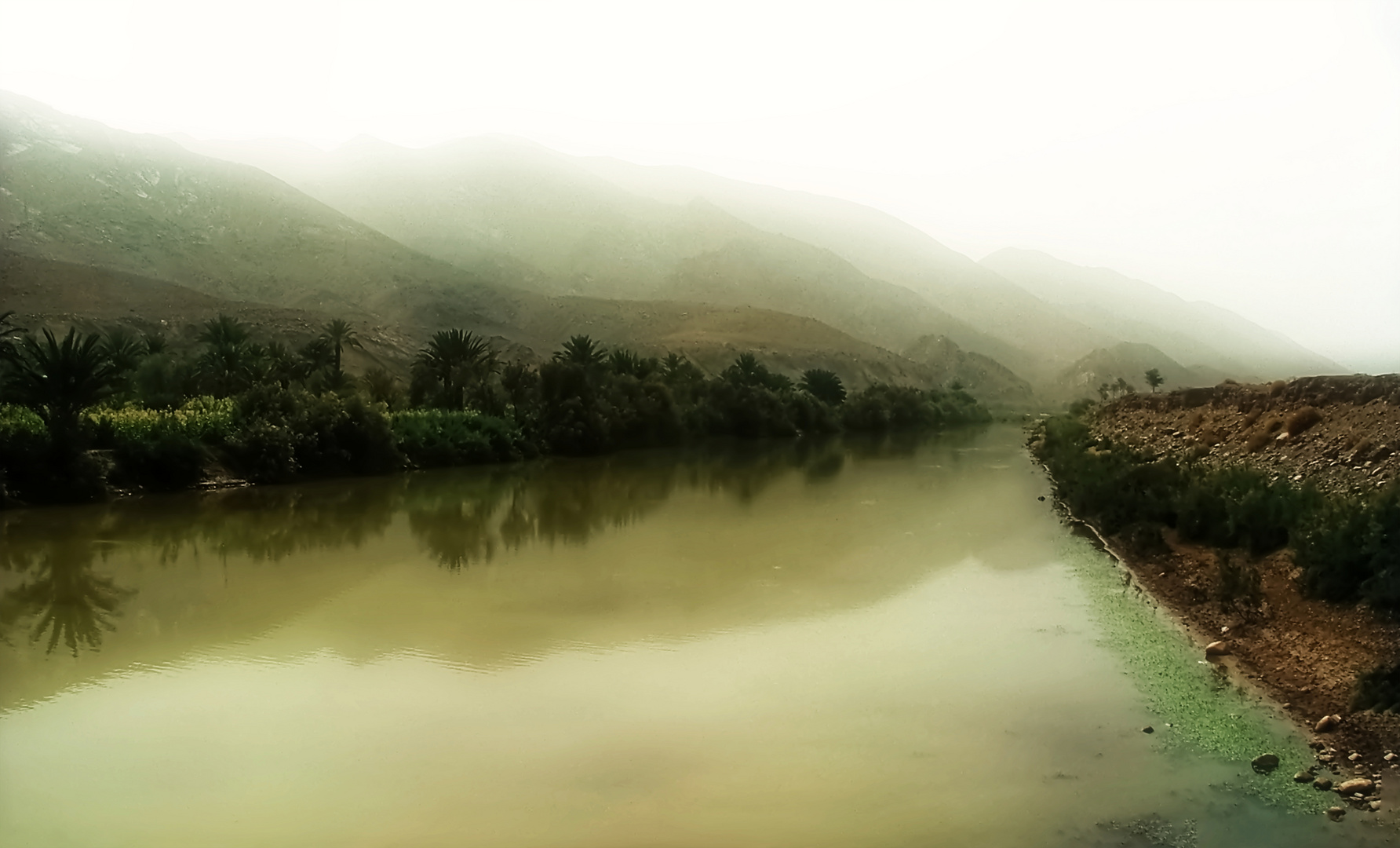 Brume matinale sur l'oued