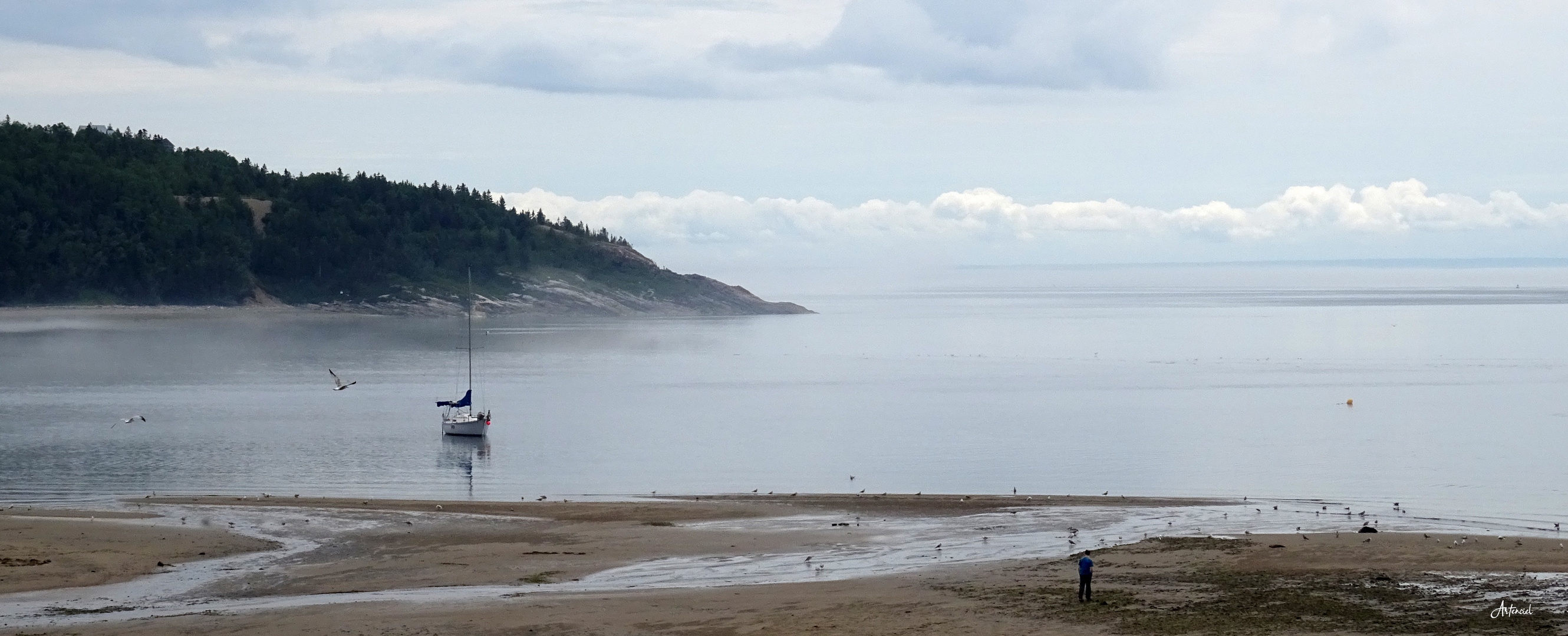 Brume matinale - Tadoussac - Québec