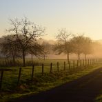 Brume Normande