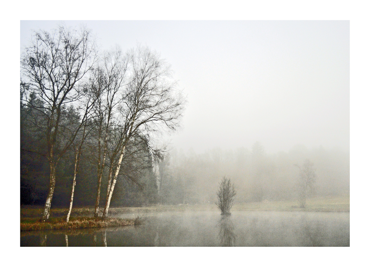 Brume Normande