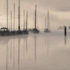 Brume rosée du matin sur le port de Foleux