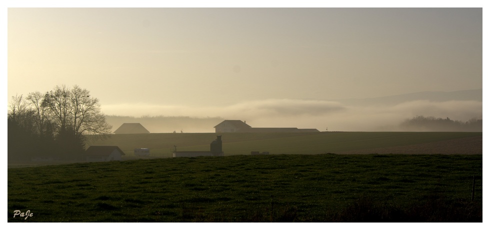 Brume sur Cugy. (Suisse)