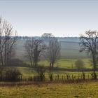 Brume sur la campagne