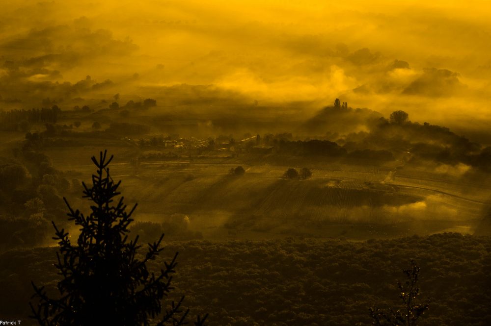 Brume sur la plaine