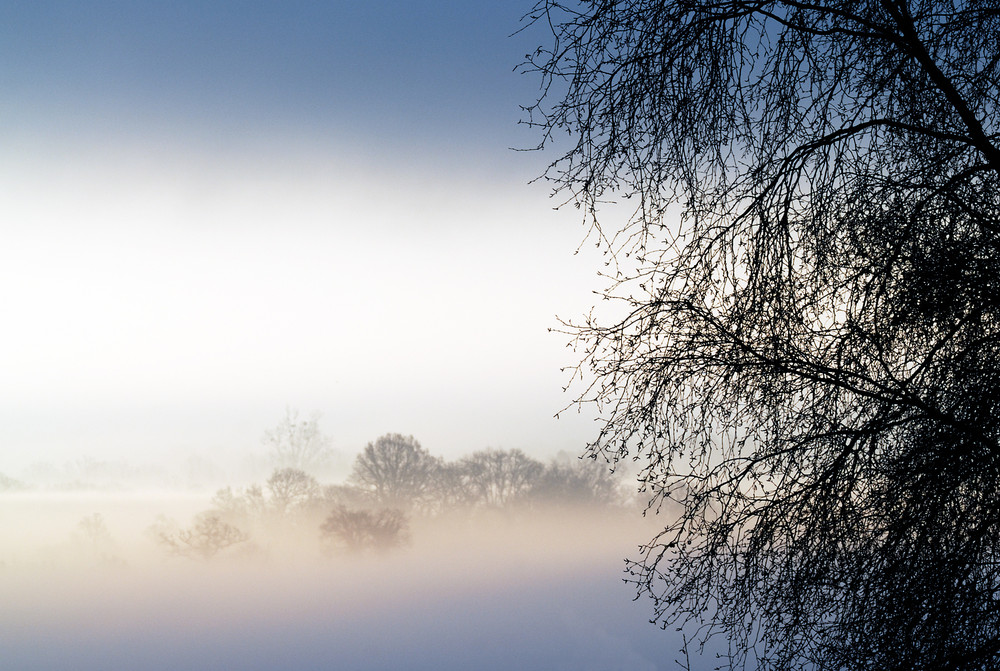 Brume sur la Rance