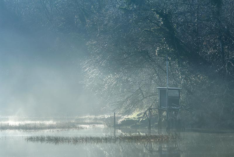 Brume sur la Rance ce matin du 12-02-2008