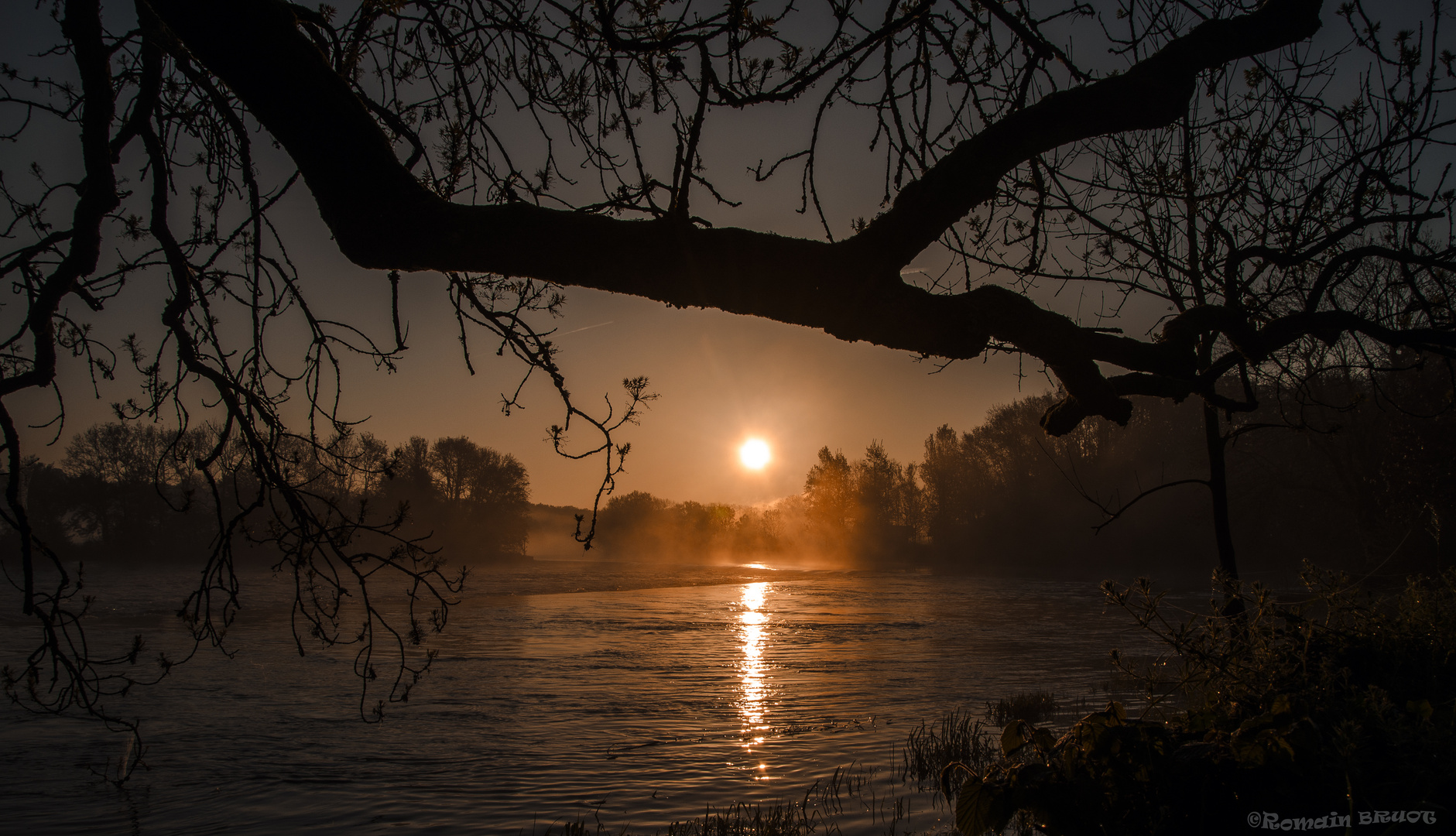 Brume sur la saône