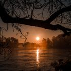 Brume sur la saône