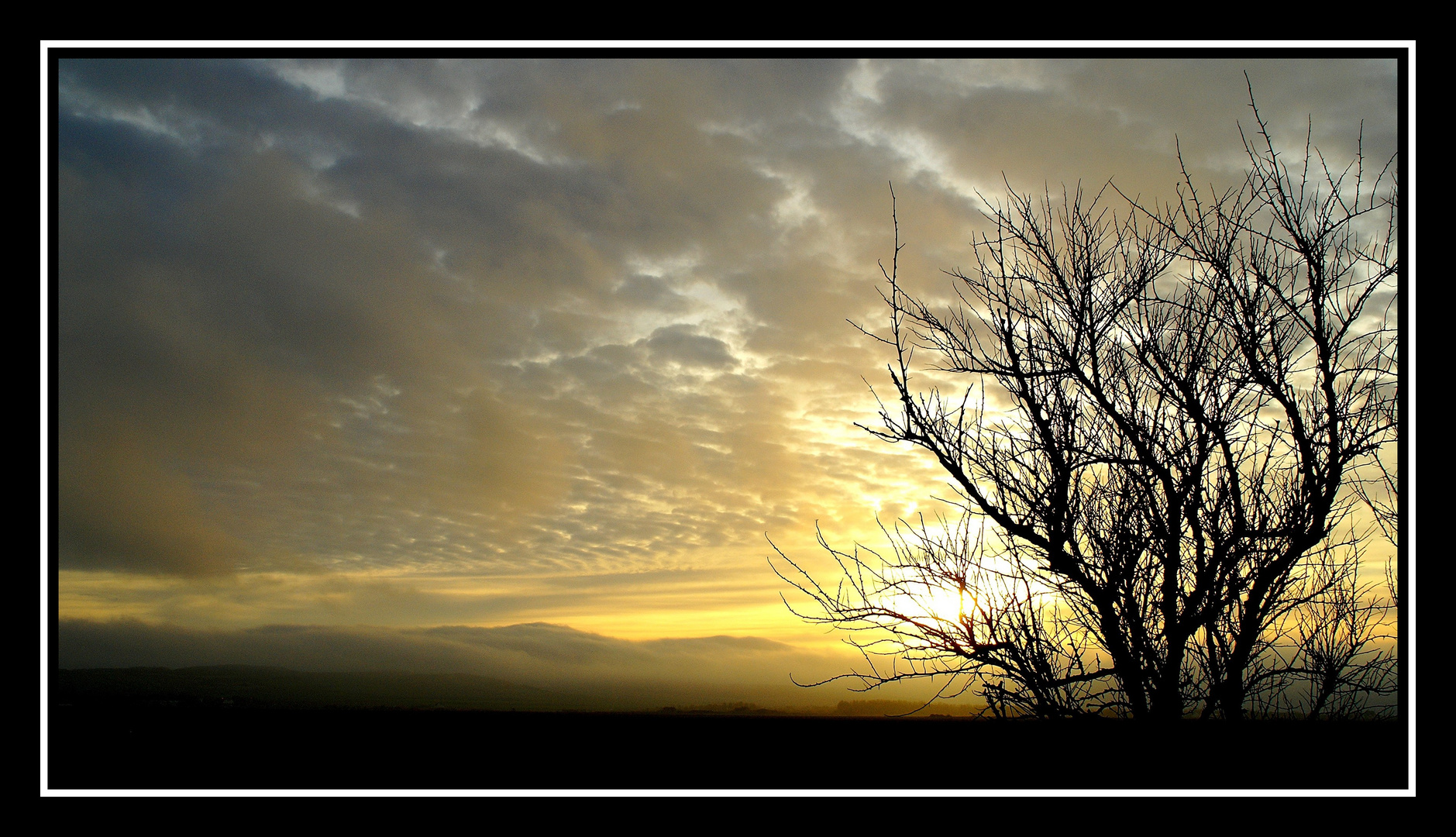 brume sur le blanc nez sur couché de soleil