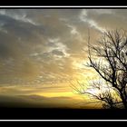 brume sur le blanc nez sur couché de soleil