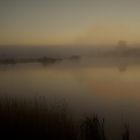 Brume sur le lac