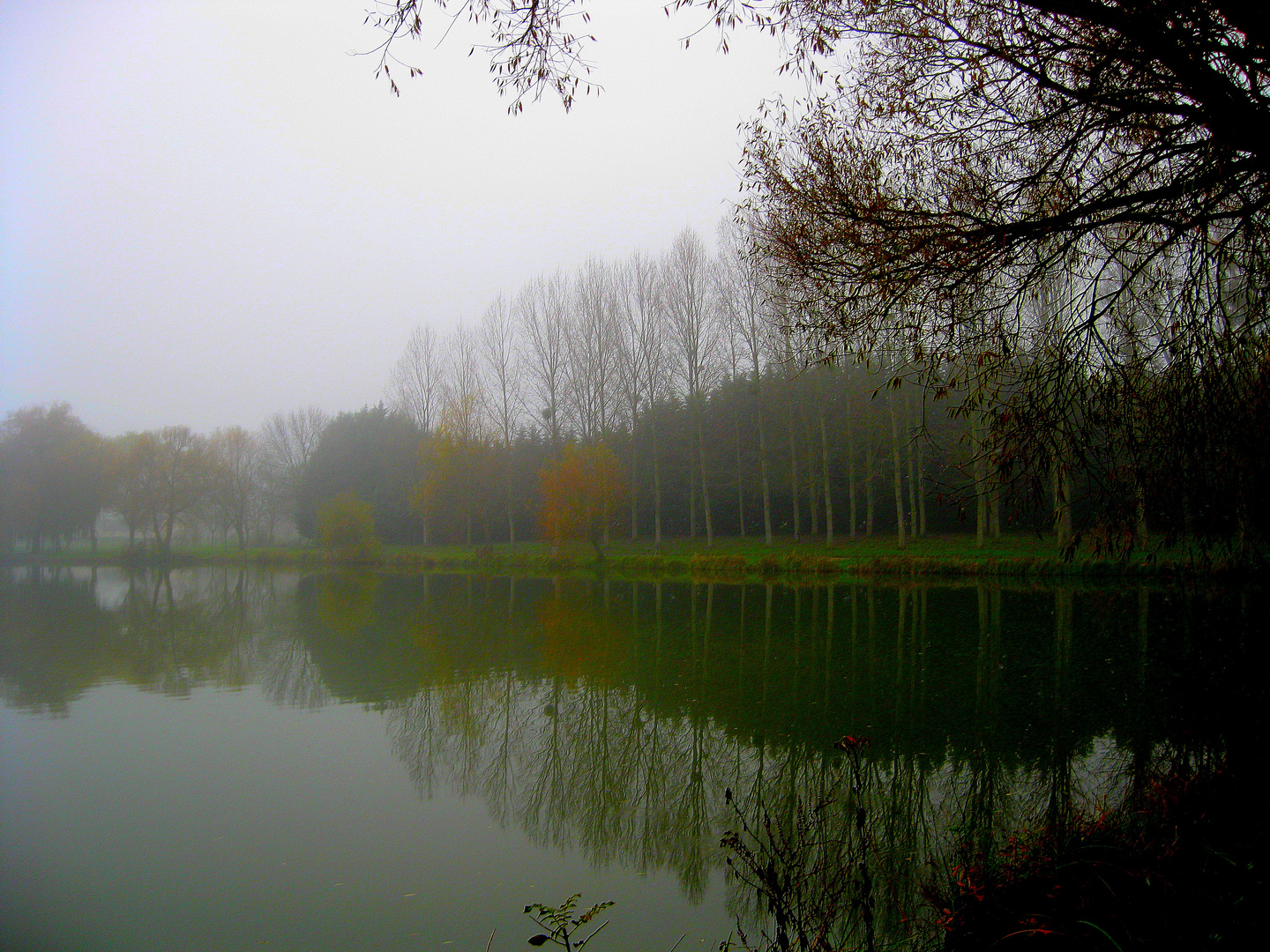 Brume sur le lac