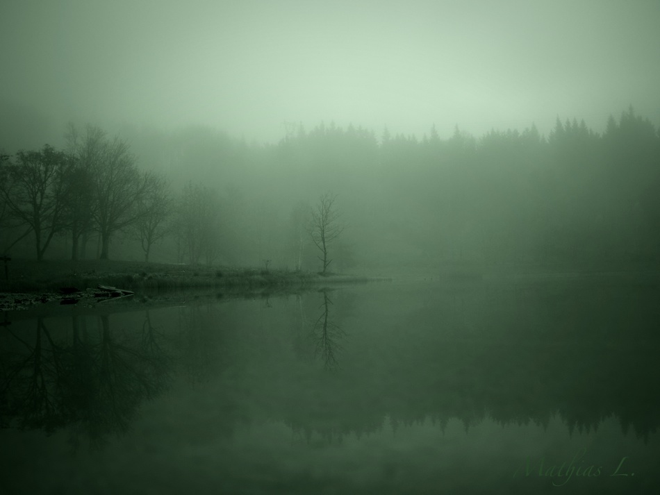 Brume sur le lac