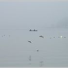 Brume sur le lac du Bourget AIX LES BAINS .SAVOIE .