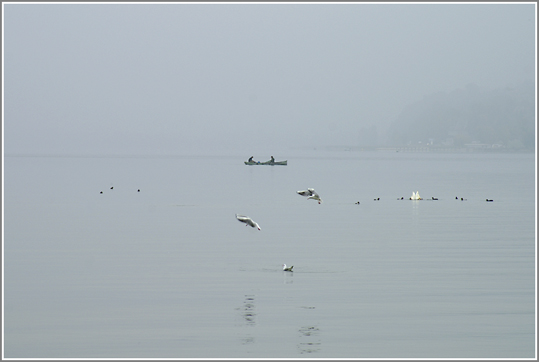 Brume sur le lac du Bourget AIX LES BAINS .SAVOIE . de MIMI73 