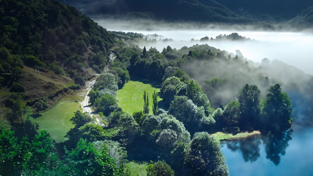 Brume sur le lac