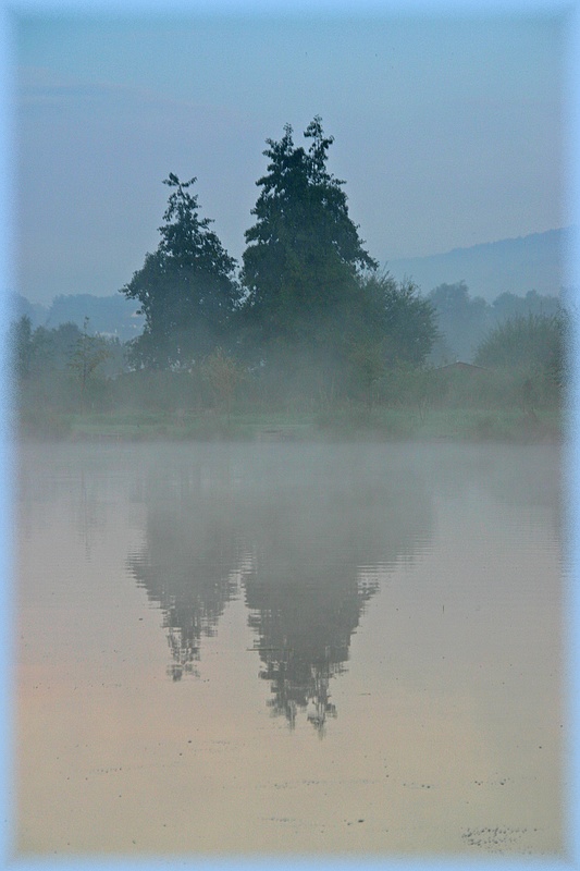 Brume sur l'étang