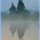 Brume sur l'étang