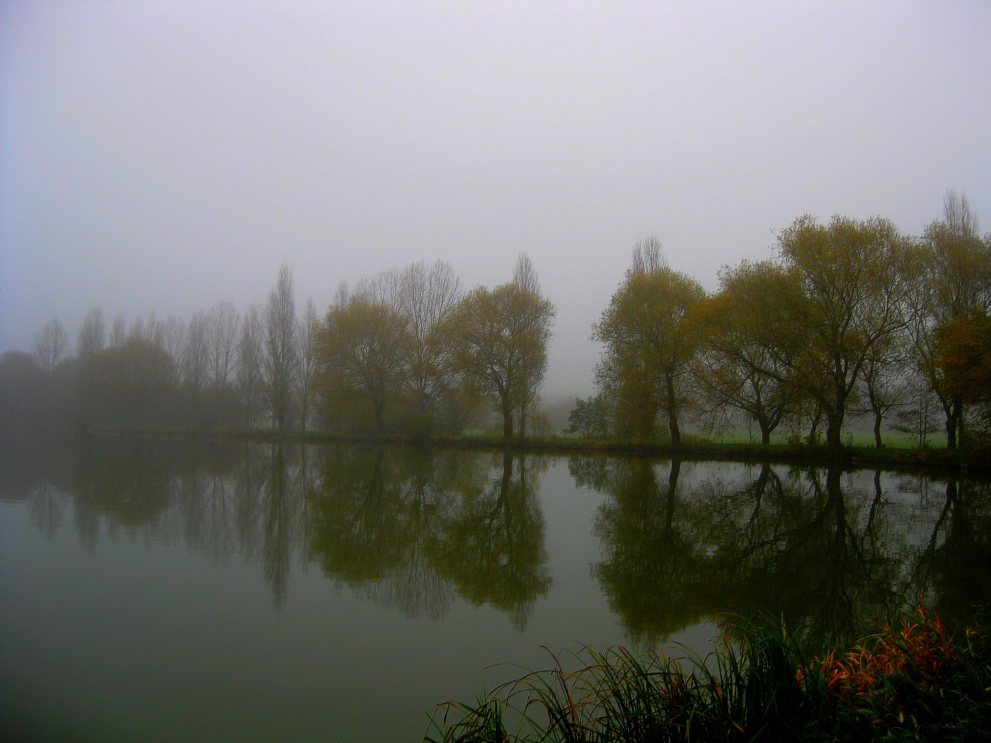 brume sur l'étang N°2
