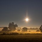 Brume sur Nied allemande