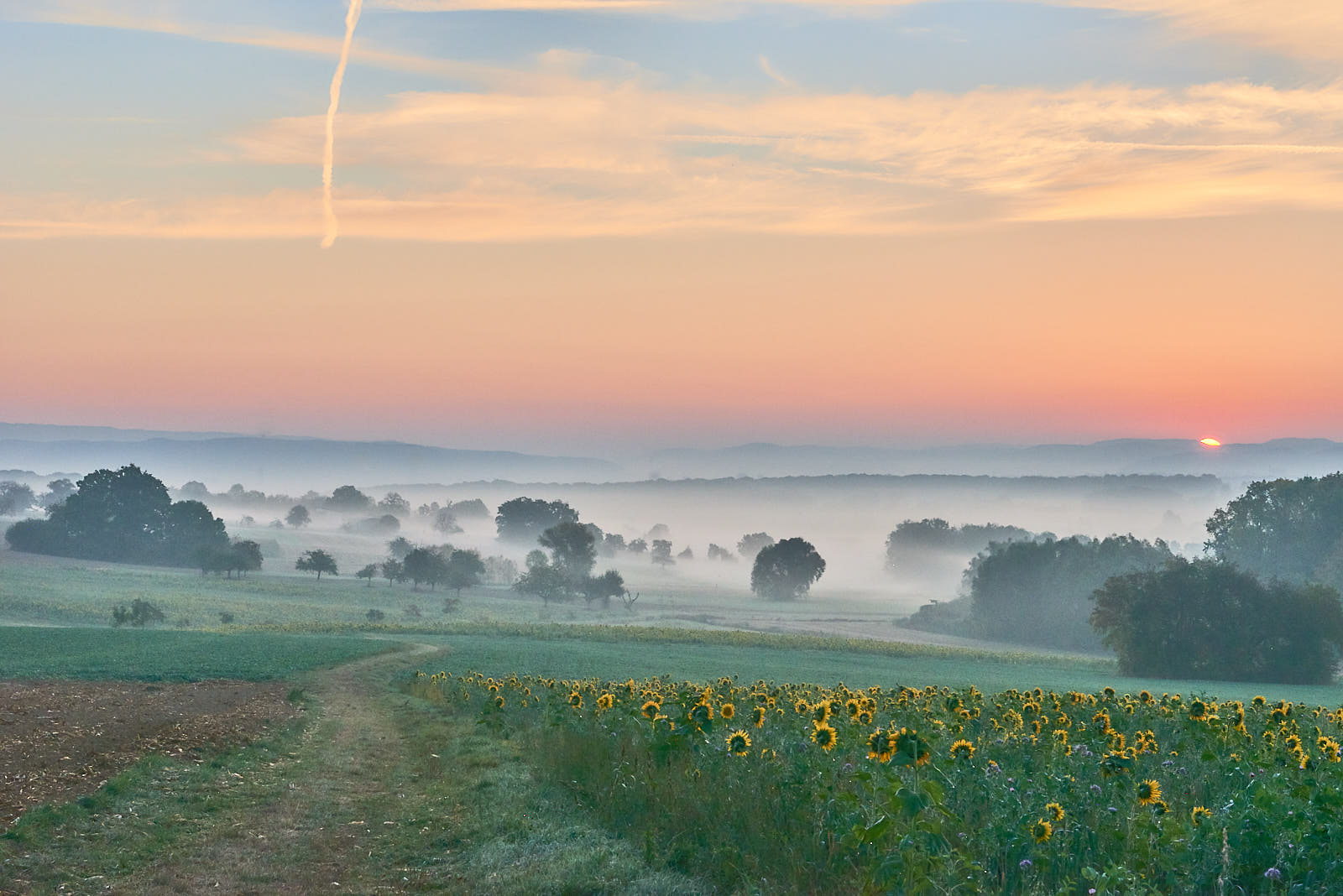 Brumes d'automne